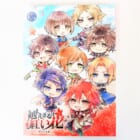 【乙女ゲーム高価買取】越えざるは紅い花 after disk~綾なす未来~（PC）